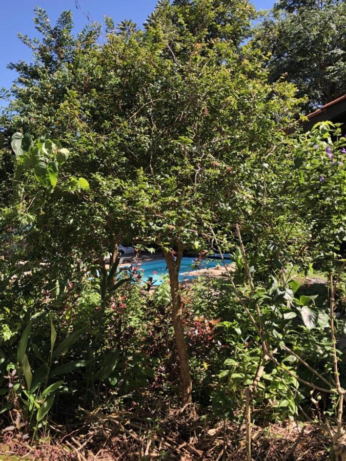 Casa Natuco *