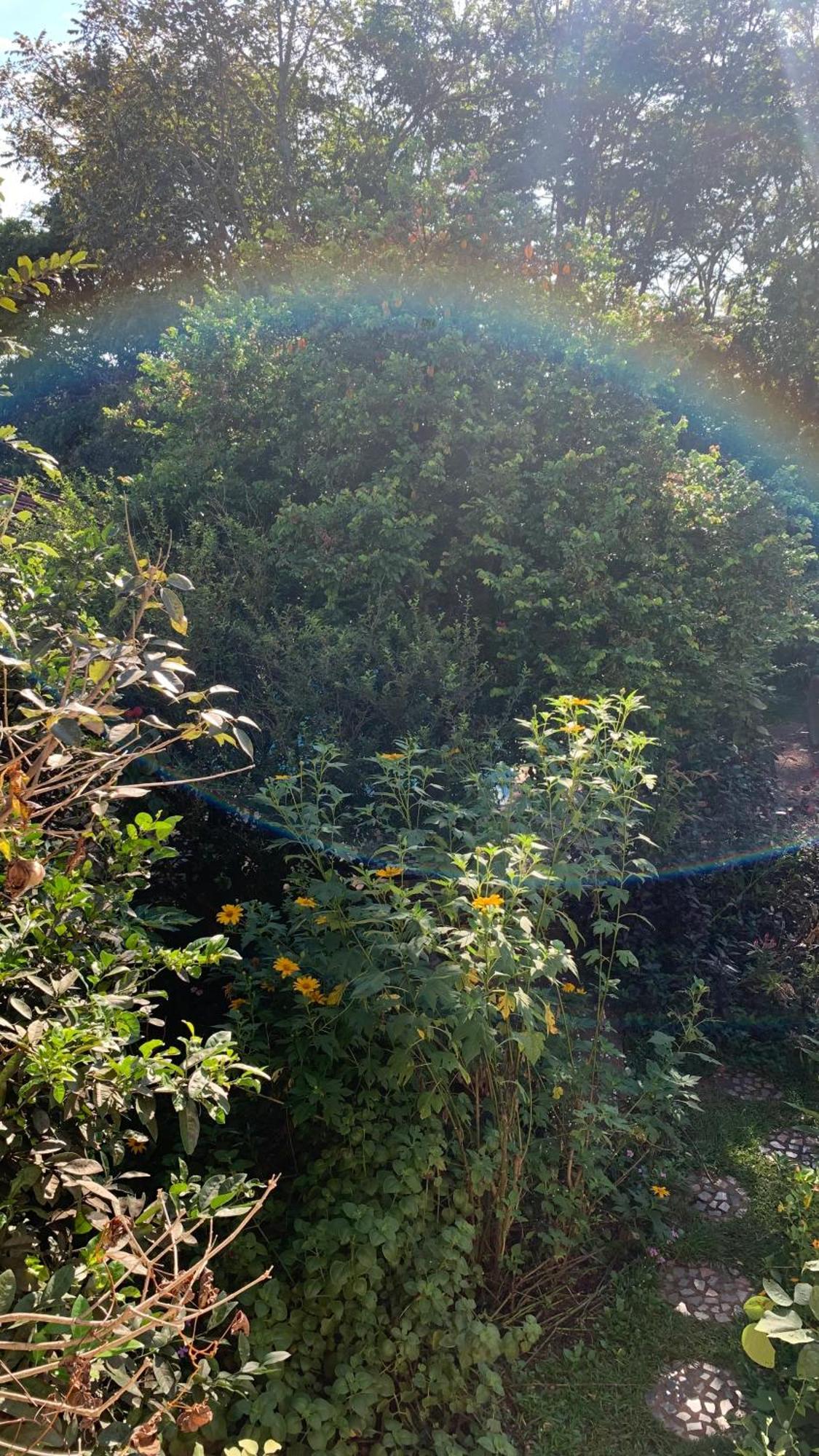 Casa Natuco Quarto em Acomodações Particulares